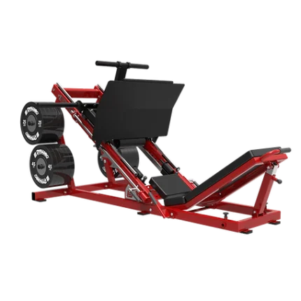 Dynamic Leg Press